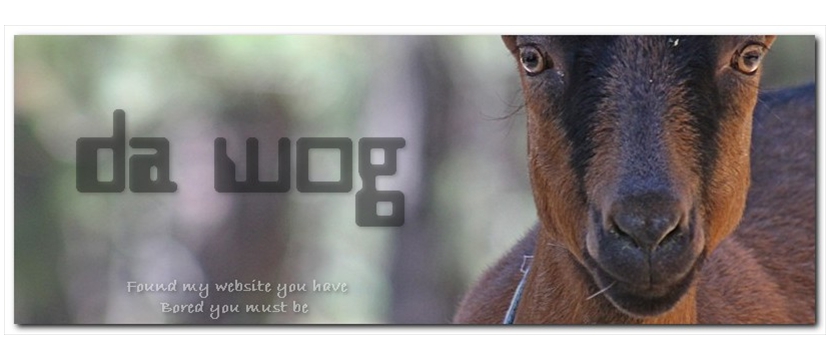 wog003 wog003