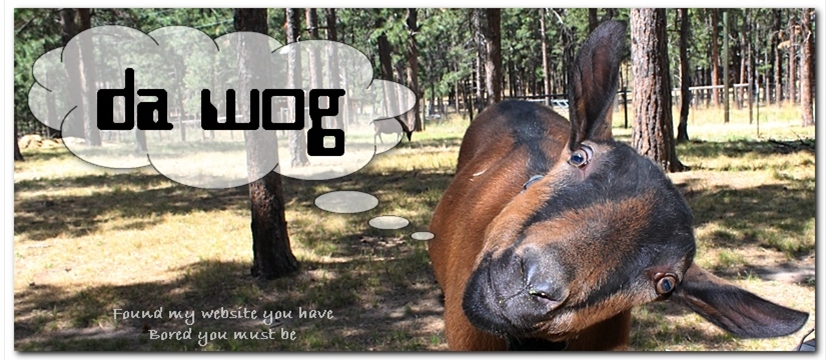 wog004 wog004